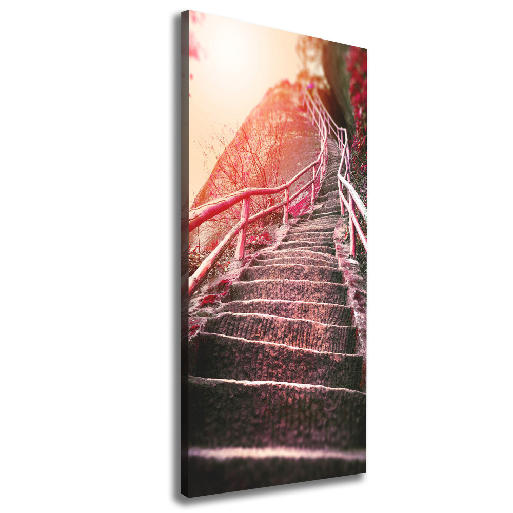 Large canvas wall art Stairs in the mountains