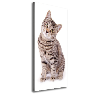 Canvas wall art Cat