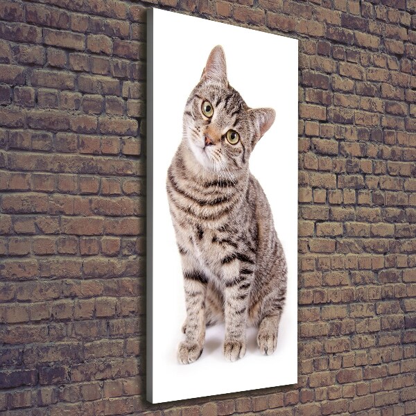 Canvas wall art Cat