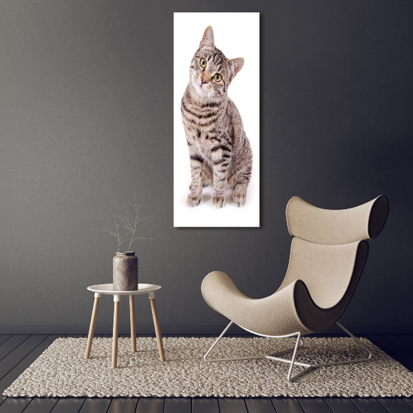 Canvas wall art Cat