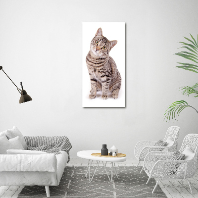 Canvas wall art Cat