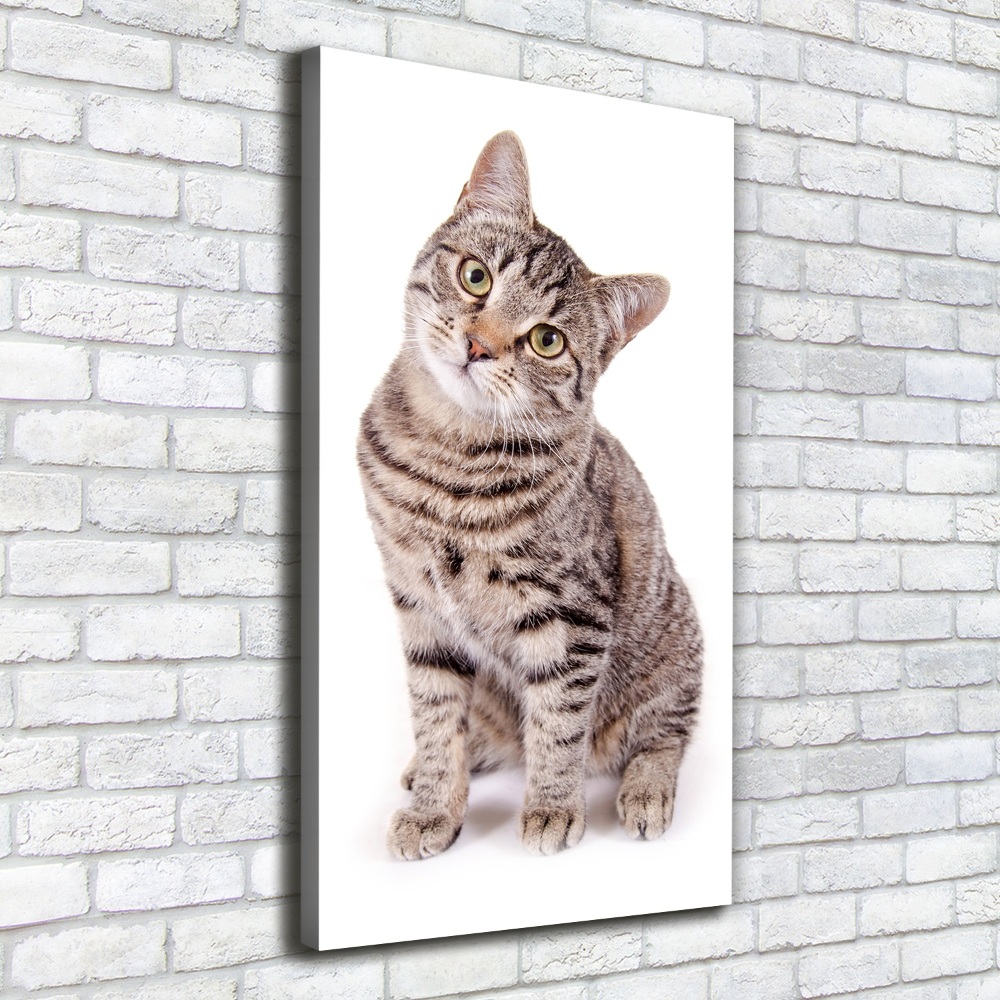 Canvas wall art Cat