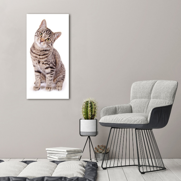 Canvas wall art Cat