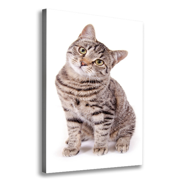 Canvas wall art Cat