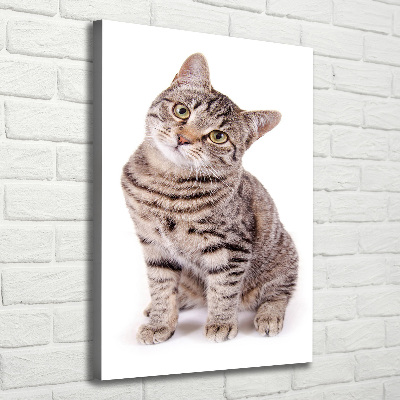 Canvas wall art Cat