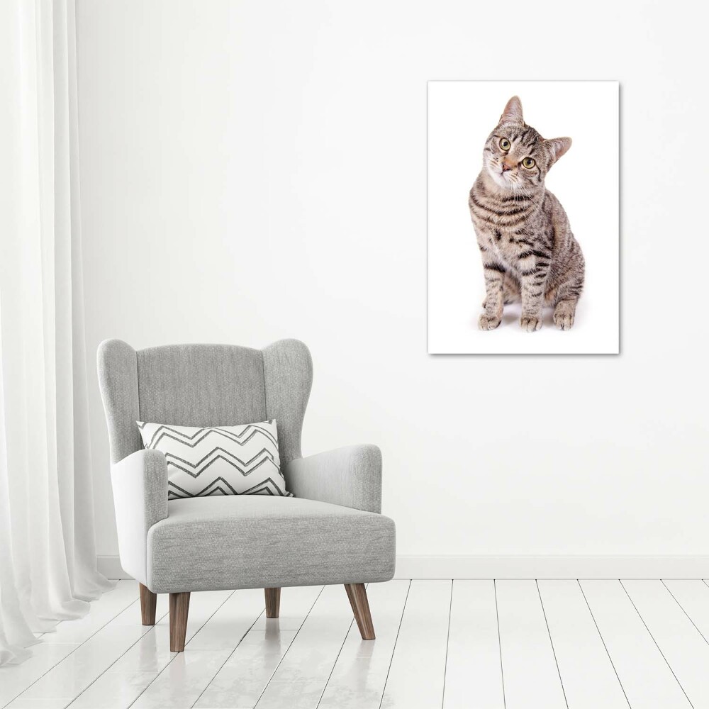 Canvas wall art Cat