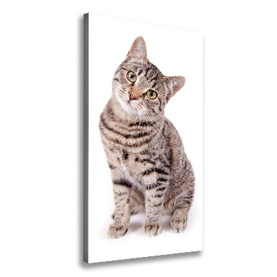 Canvas wall art Cat