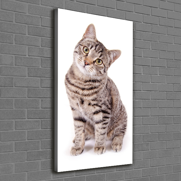 Canvas wall art Cat