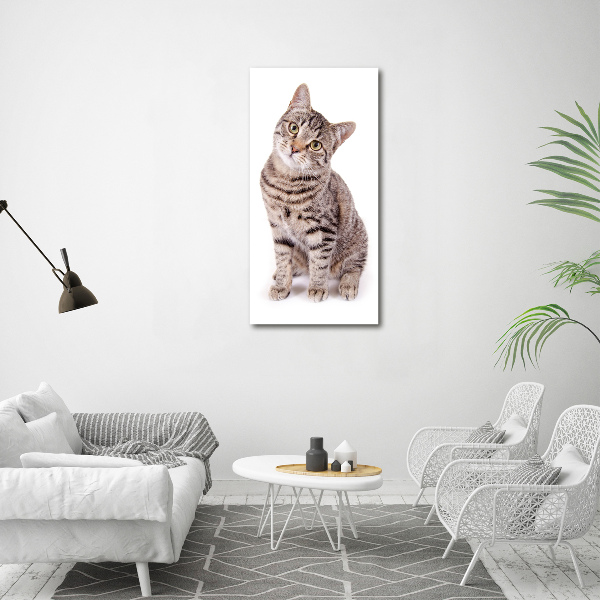 Canvas wall art Cat