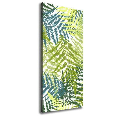 Canvas print Fern leaves