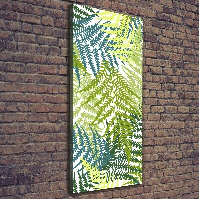 Canvas print Fern leaves