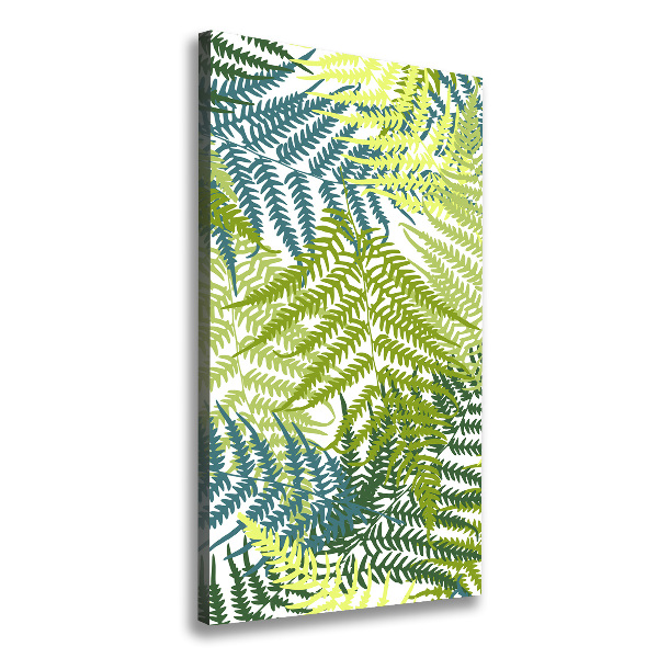 Canvas print Fern leaves