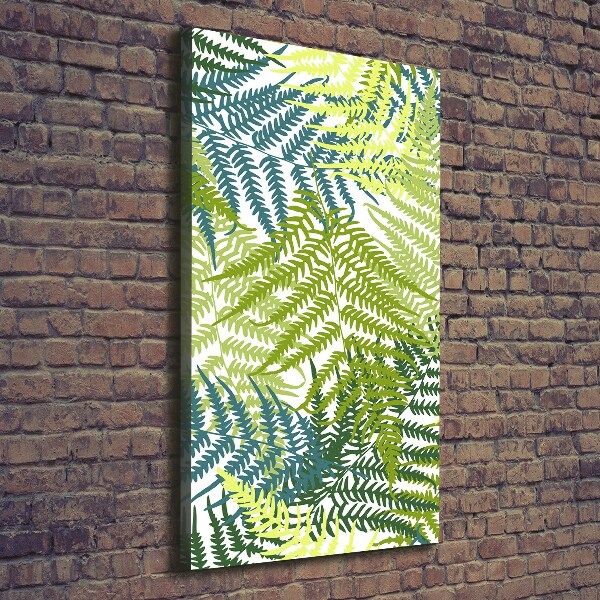 Canvas print Fern leaves