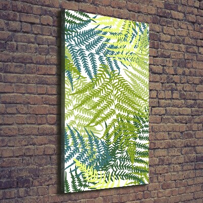 Canvas print Fern leaves