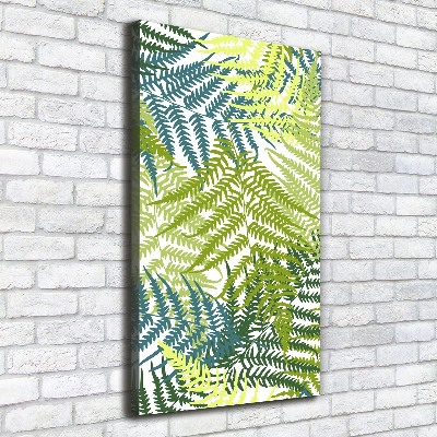 Canvas print Fern leaves