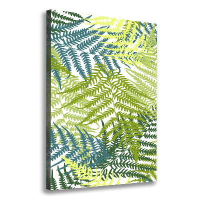 Canvas print Fern leaves