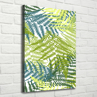 Canvas print Fern leaves