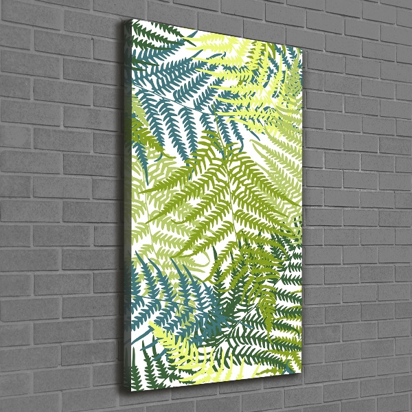 Canvas print Fern leaves