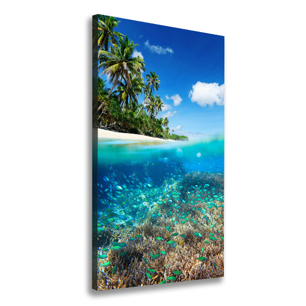 Canvas wall art Coral reef