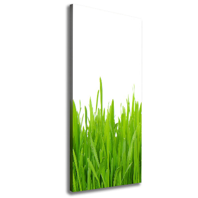 Large canvas wall art green grass