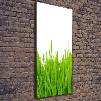 Large canvas wall art green grass