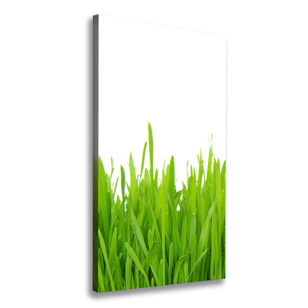 Large canvas wall art green grass