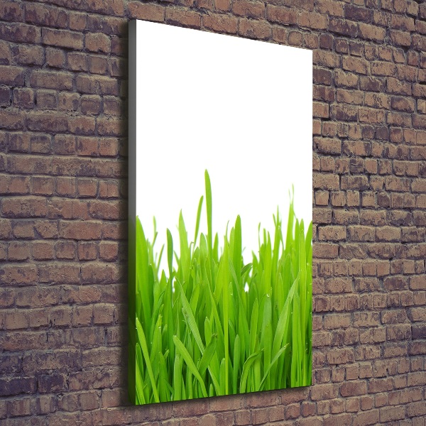 Large canvas wall art green grass