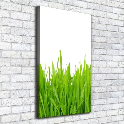 Large canvas wall art green grass