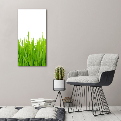 Large canvas wall art green grass