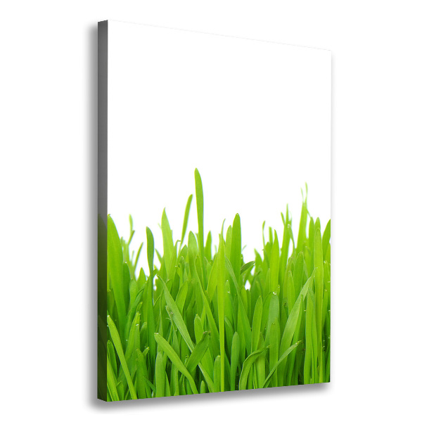 Large canvas wall art green grass