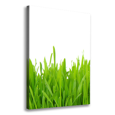 Large canvas wall art green grass