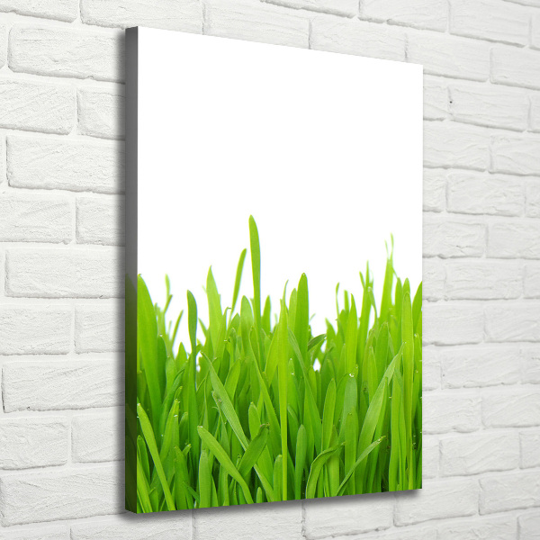 Large canvas wall art green grass