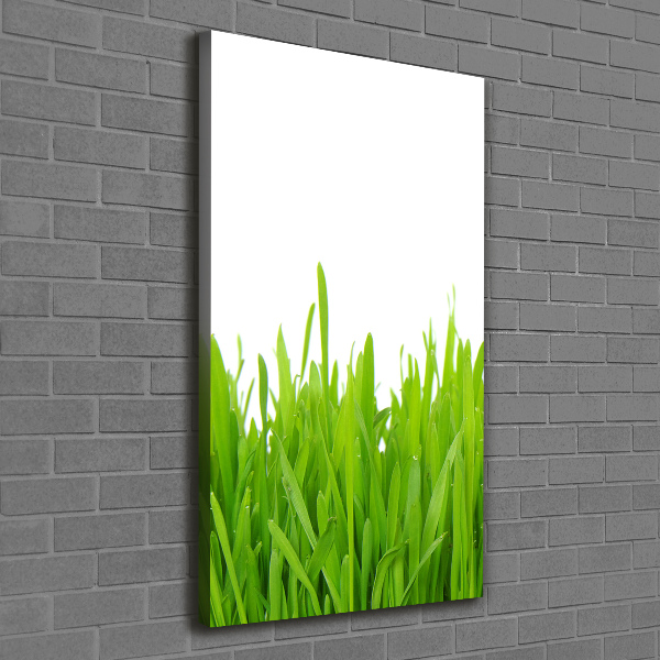 Large canvas wall art green grass