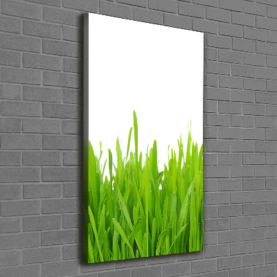 Large canvas wall art green grass