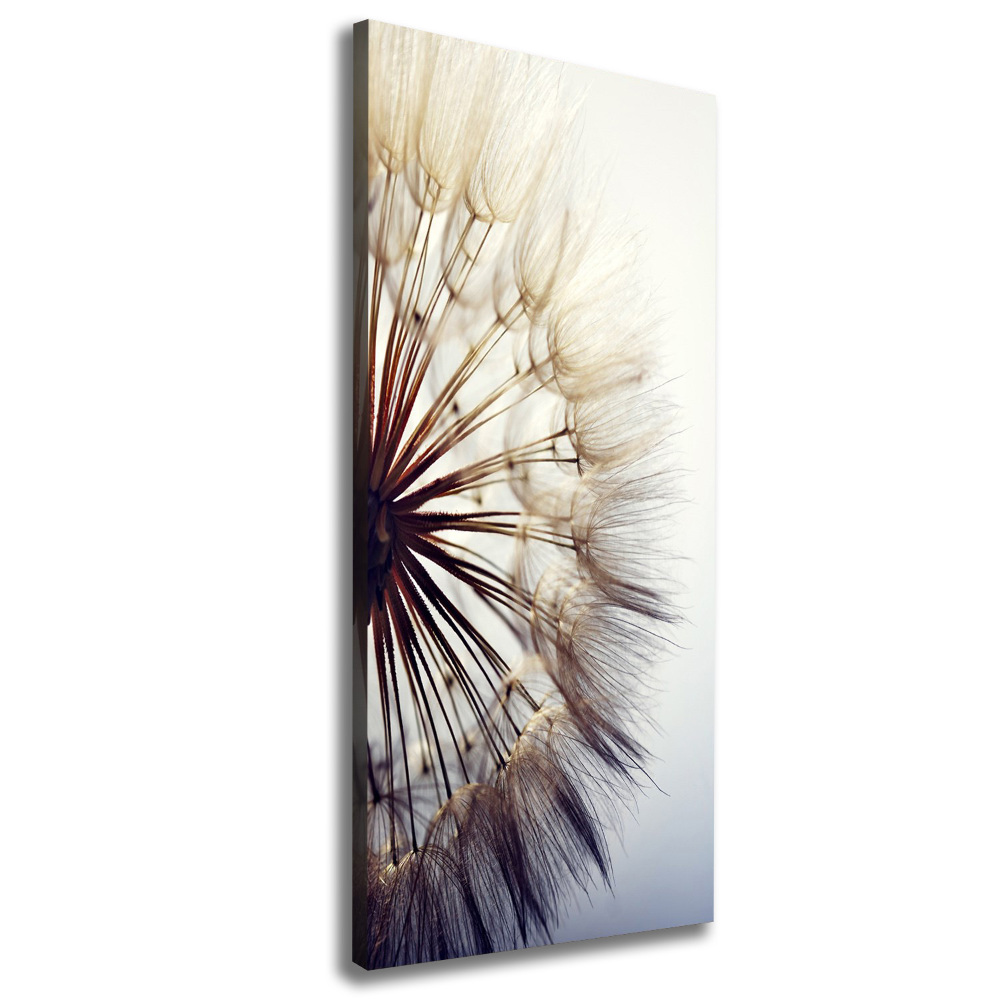 Canvas wall art Dandelion