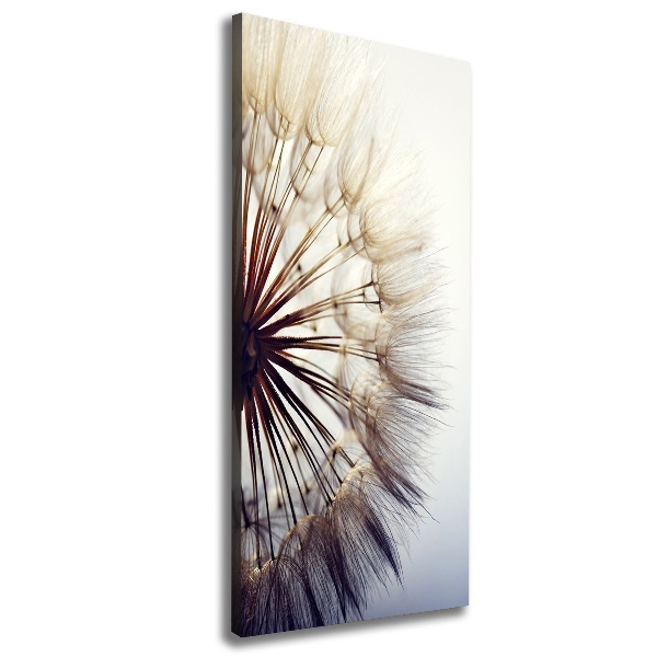 Canvas wall art Dandelion