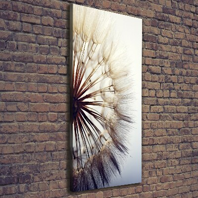 Canvas wall art Dandelion