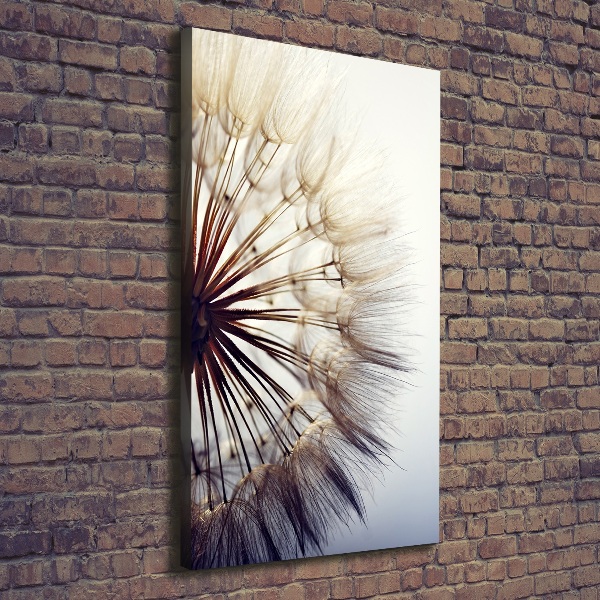 Canvas wall art Dandelion