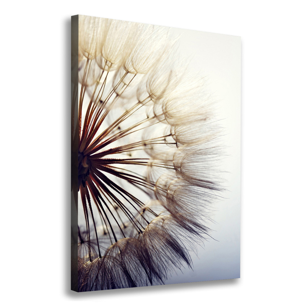 Canvas wall art Dandelion