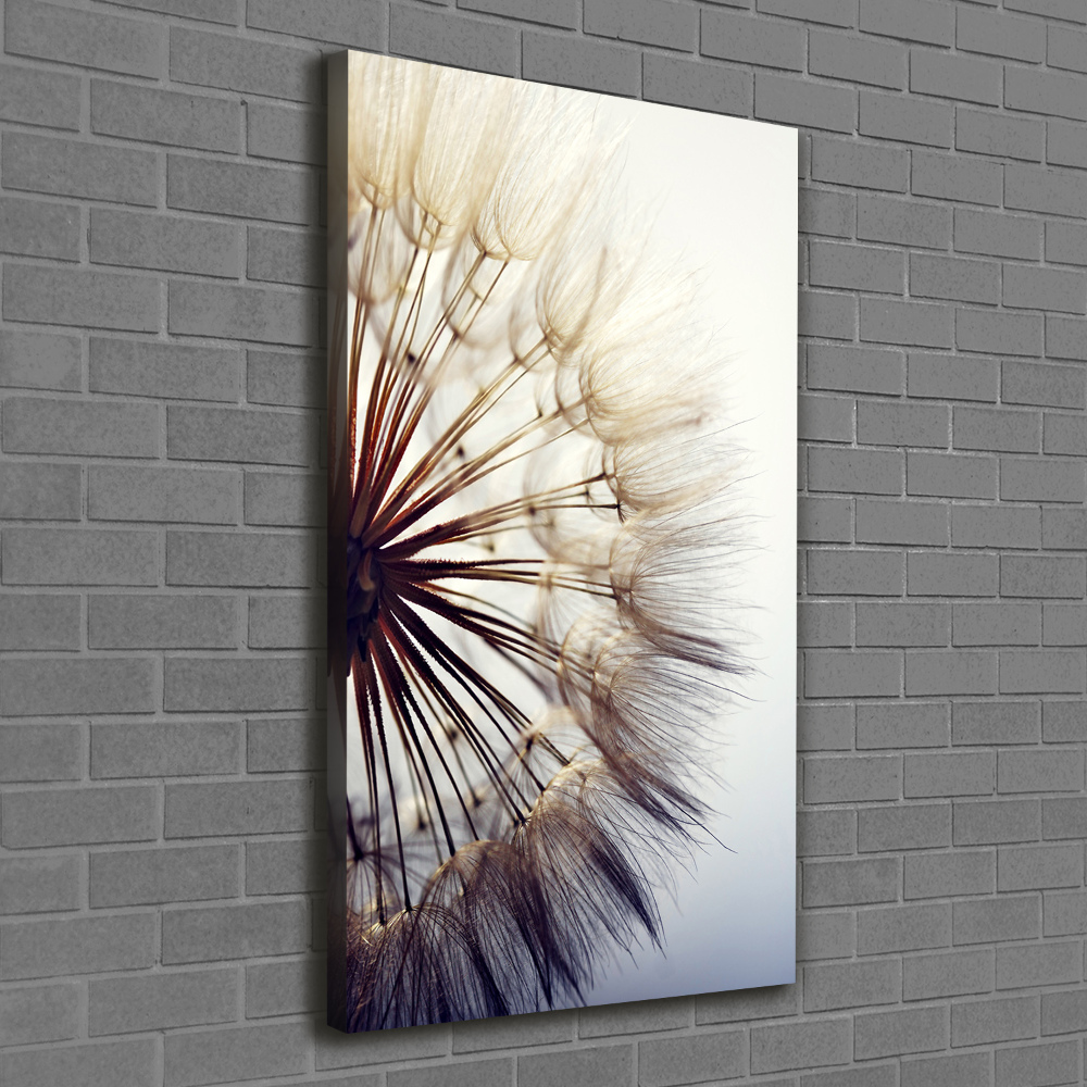 Canvas wall art Dandelion