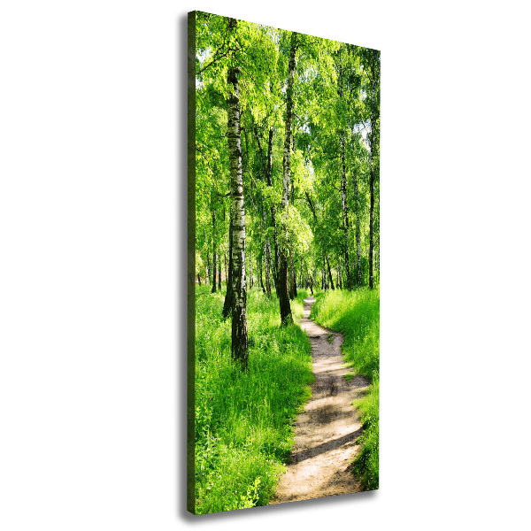 Large canvas wall art Birch forest