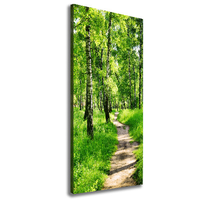 Large canvas wall art Birch forest