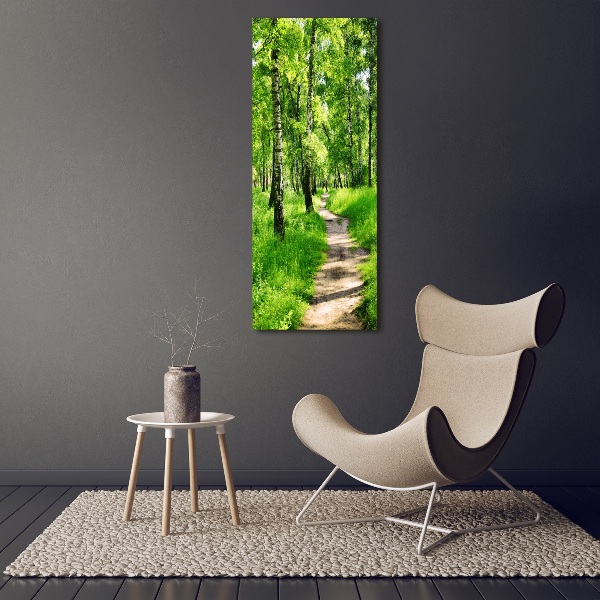 Large canvas wall art Birch forest