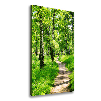 Large canvas wall art Birch forest