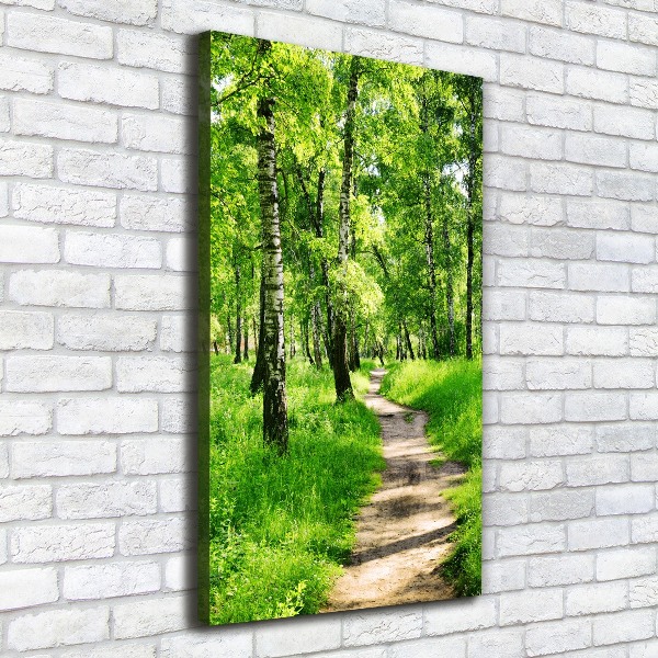 Large canvas wall art Birch forest