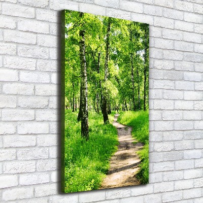 Large canvas wall art Birch forest