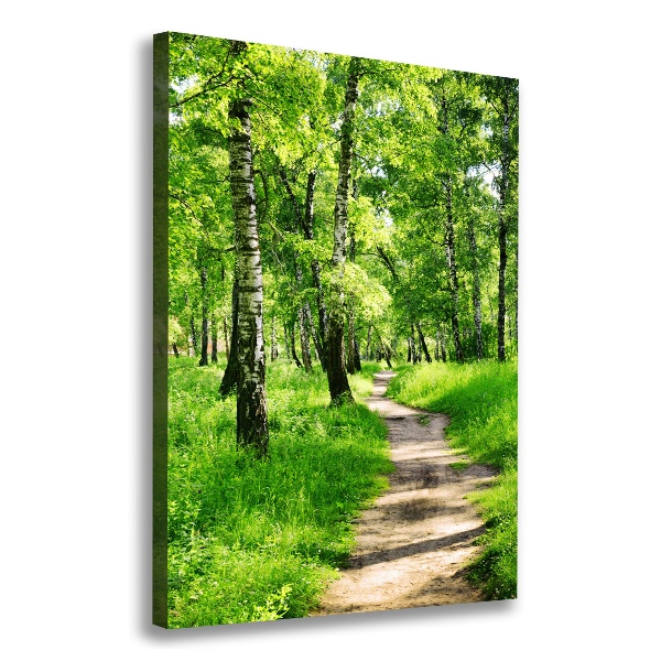 Large canvas wall art Birch forest