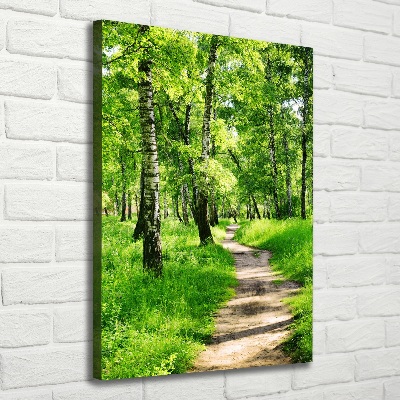 Large canvas wall art Birch forest