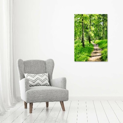 Large canvas wall art Birch forest