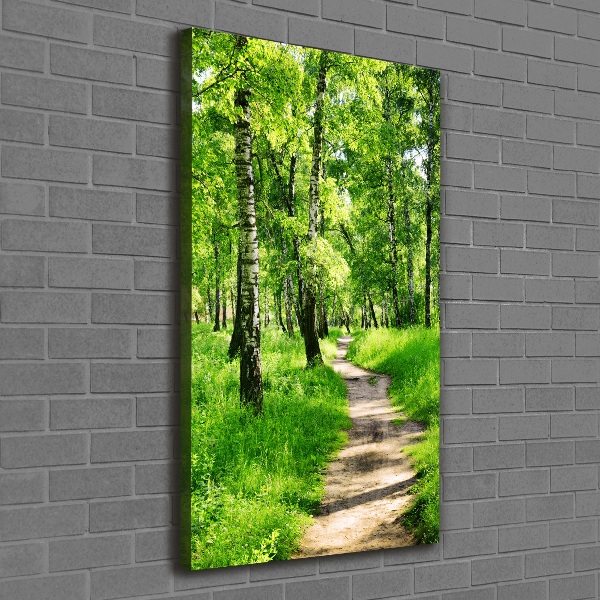 Large canvas wall art Birch forest